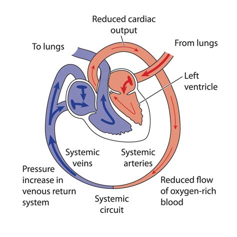 Dr Gautam Swaroop Best Cardiologist In Lucknow