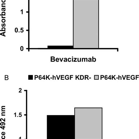 Immunorreactivity Of Bevacizumab And Anti Vegf Polyclonal Antibodies