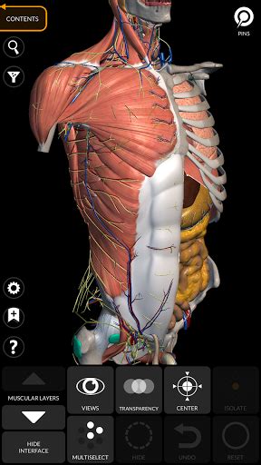 Anatomy 3d Atlas For Android Medical App