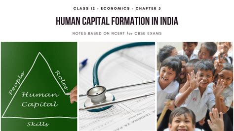 Human Capital Formation In India Class 12 Indian Economic Development