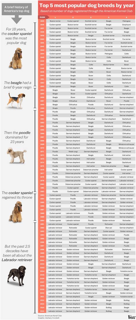 Americas Top Dog How The Most Popular Breeds Have Changed Over Time Vox