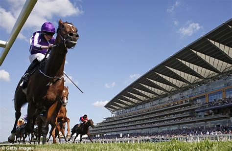 Ascot Launches On Track Pool Betting System With Betfred Daily Mail