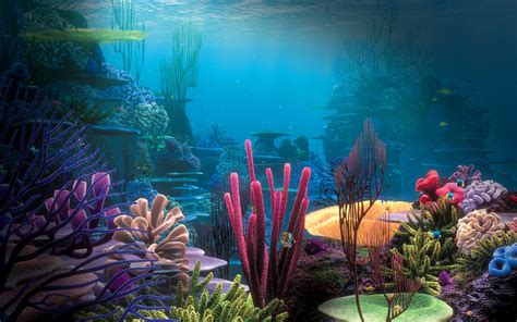 Underwater Scene Wallpaper 2560x1600