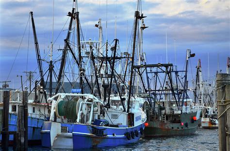 Commercial Fishing Boats Point Pleasant Nj Photograph By Bob Cuthbert