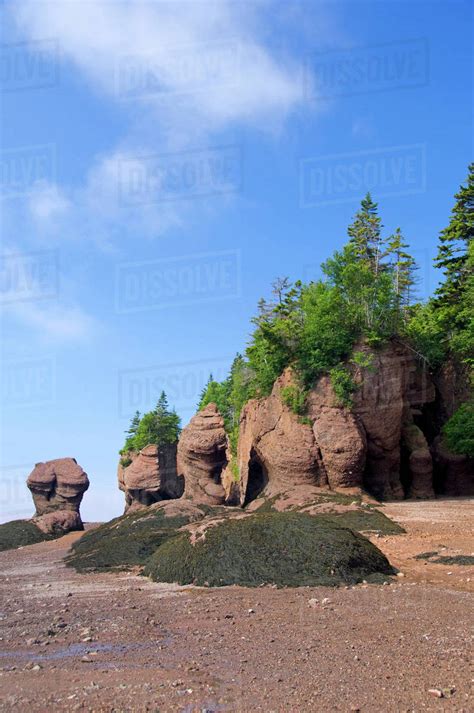 Canada New Brunswick Hopewell Cape Bay Of Fundy Hopewell Rocks At