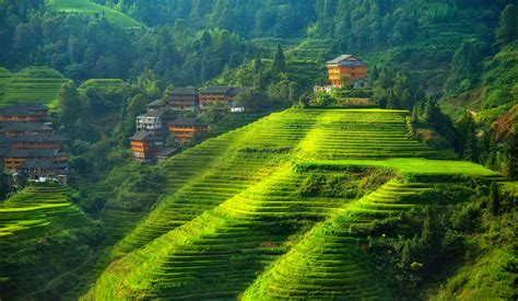 Terraced Field Landscape Hill China Wallpapers Hd Desktop And