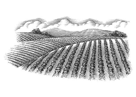 Steven Noble Illustrations Agricultural Landscape