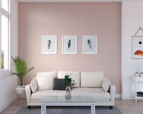 10 Gorgeous Pink Accent Wall Ideas For Bedroom And Living