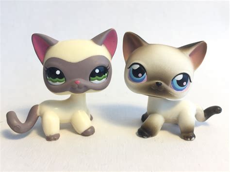Around The World Masked Siamese Ranch Cat Girl Toys Littlest Pet Shop