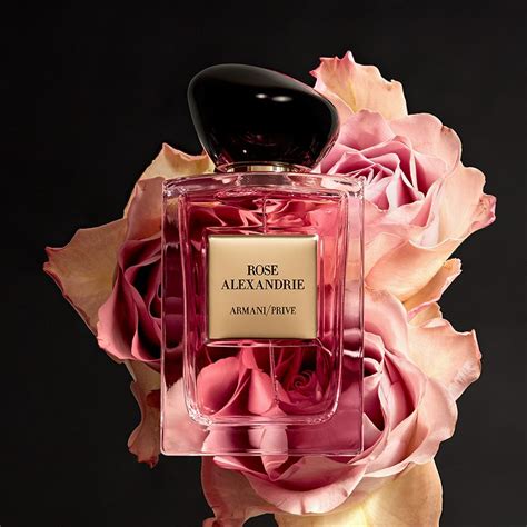 Chloe Perfume Perfume Ad Rose Perfume Perfume Scents Fragrance
