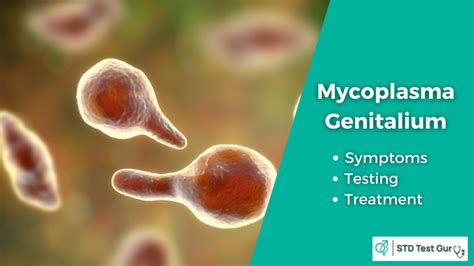 What Is Mycoplasma Genitalium Symptoms Testing And Treatment
