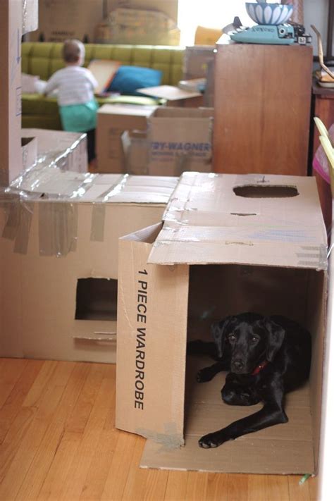 Indoor Cardboard Box Fortmaze Fun And A Bit Of Distraction For Kids