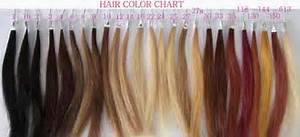 Human Hair Color Chart Hair Color Chart