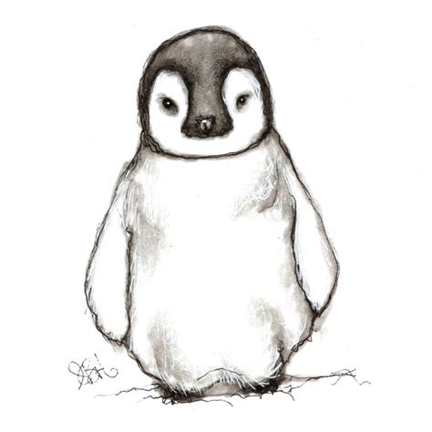 Cute Penguin Sketch At Explore Collection Of Cute