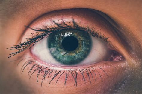 Aug 18, 2019 · cataracts form when protein builds up in the lens of your eye and makes it cloudy. Types of Cataracts: What They Are and What Causes Them