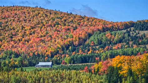 The Best Time To See The Fall Leaves In Cape Breton 1015 The Hawk