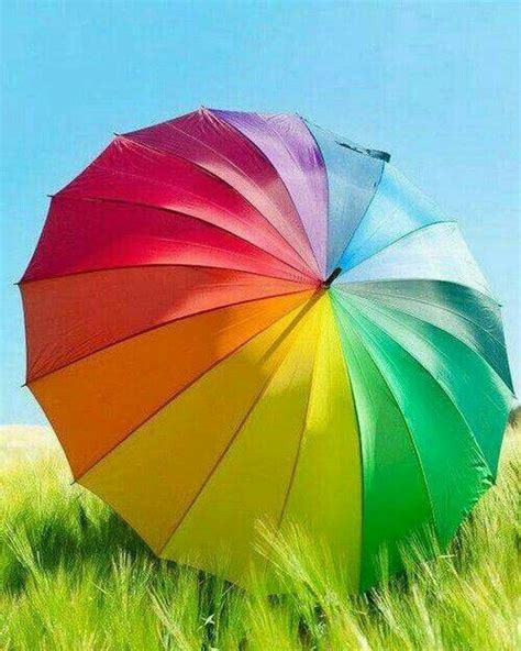Pin De Nik Mahzon En Colori Paraguas De Colores Imágenes Coloridas