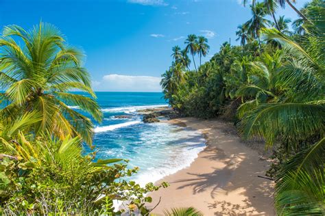 Best Time To Visit Costa Rica In 2021 Detailed Monthly Report