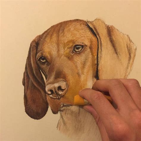 By Far The Most Common Breed Of Dog I Paint Or Draw Is The Hungarian