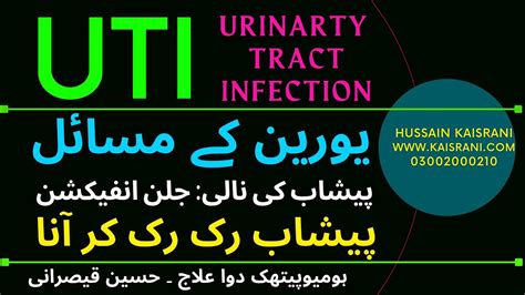 Uti Urinary Tract Infection Peshab Main Jalan Wajah Ilaj Peshab Ruk Ruk Kar Aana Urdu