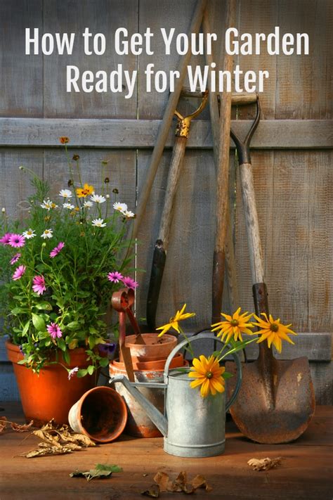 How To Get Your Garden Ready For Winter Creative Cynchronicity