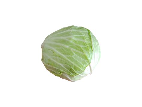 Cabbage On Transparent Background Brassica Oleracea 18921156 Png