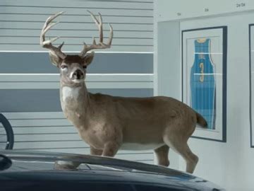 Liability insurance, whether bodily injury or property damage, only covers damage you cause. State Farm Chris Paul & Oscar Nuñez Deer Commercial