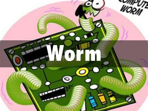What Is A Worm Virus On A Computer Wearejuja