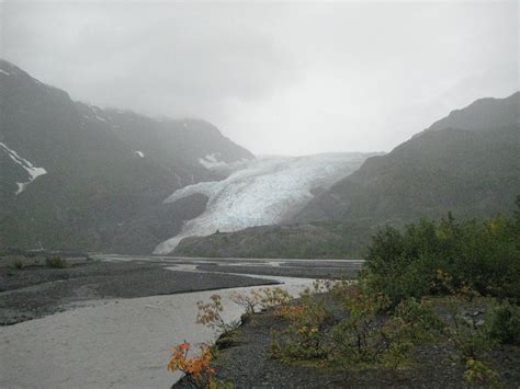 Exit Glacier Guides Day Tours Seward Tutto Quello Che Cè Da Sapere