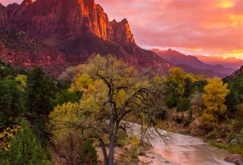 The Watchman Sunset Zion National Park Utah Landscape Photography