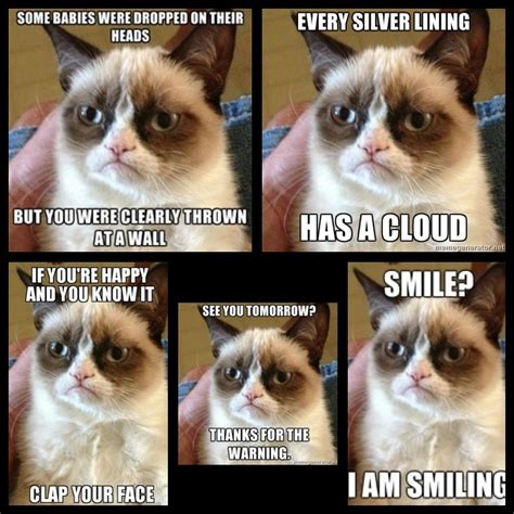 Grumpy Cat Funny Sayings Grumpy Cat Quotes Grumpy Cat Humor Funny
