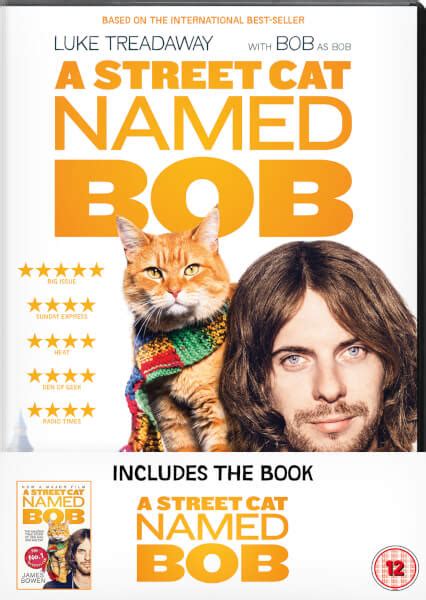 The gist of the book is about a street musician named james bowen living hand to mouth playing guitar on the streets of london whose life crosses paths with an amazing ginger kitty by the name of bob. A Street Cat Named Bob & Book (Limited Edition) DVD | Zavvi