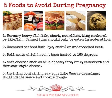 This is a guest post by nancy baker of child mode! 5 Foods to Avoid During Pregnancy - Scary Mommy