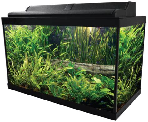 Fish Tank Green Aquarium Transparent Png Png Mart
