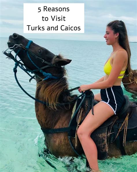 5 Reasons To Visit Turks And Caicos Forever Traveling