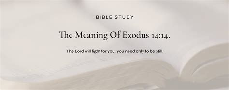 What Does Exodus 1414 Really Mean “the Lord Will Fight For You