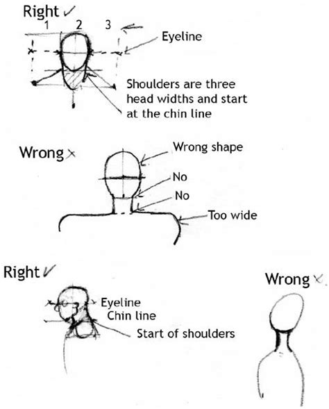 Head And Shoulders Drawing Template