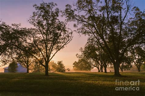 Foggy Morning Photograph By Andrea Anderegg Fine Art America