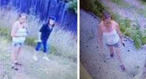 Who Are They 2 Women Caught On Camera Near Marion Home Break In Wlos