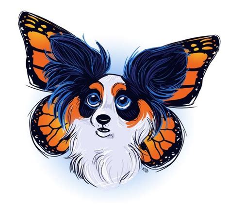 Why They Are Called The Butterfly Dog Papillon Dog Dog Sketch Dog