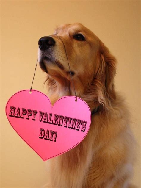 Pin By Roxanne Stahl On Valentines Day Happy Valentine Happy