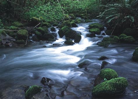 Stream Wilderness Water River Flowing Oregon Landscape Scenic