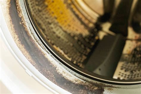 10 Reasons Your Clothes Smell After Washing