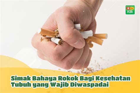 Bahaya Rokok Bagi Kesehatan Wajib Diketahui K Klik