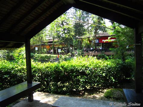Bedok garden & landscape pte ltd. Duchess Estate | lostnfiledsg