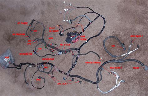 This chassis harness has been especially designed by factory five racing and ron francis wireworkst for use in the roadster and coupe. Porsche Hybrids Wiki / LT Wiring Harness Modification