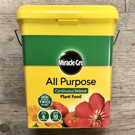 Miracle Gro All Purpose Continuous Release Plant Food Yew Tree Garden