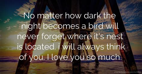 No Matter How Dark The Night Becomes A Bird Will Never Text