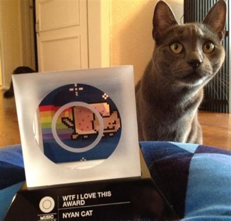 Marty The Inspiration For Nyan Cat Has Passed Away Catster