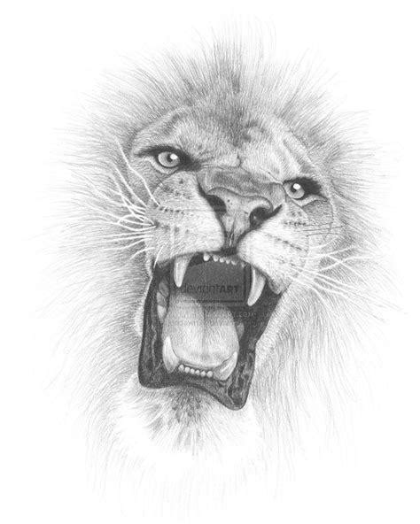 After you draw the back of the lion's body, everything will be set in place (04 min 44 sec). Roaring Lion Sketch at PaintingValley.com | Explore collection of Roaring Lion Sketch